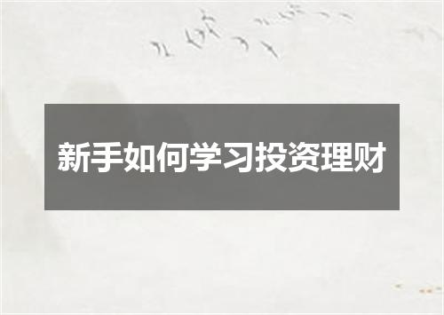 新手如何学习投资理财