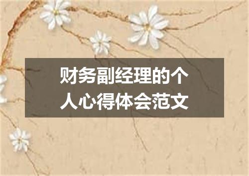 财务副经理的个人心得体会范文