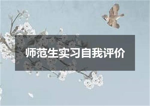 师范生实习自我评价