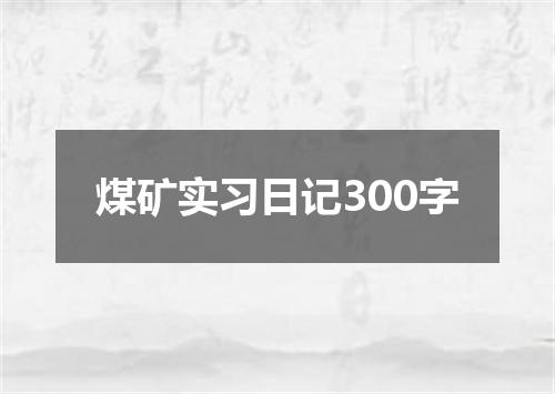 煤矿实习日记300字