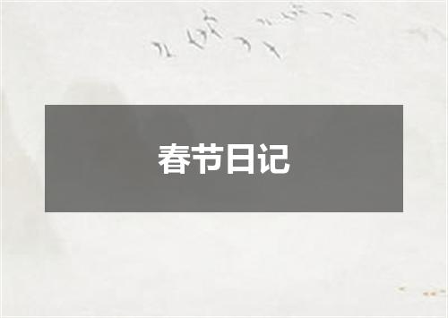 春节日记