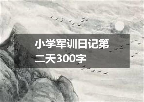 小学军训日记第二天300字