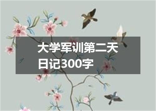 大学军训第二天日记300字