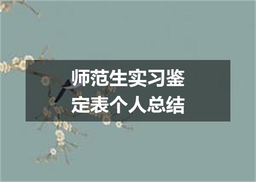 师范生实习鉴定表个人总结