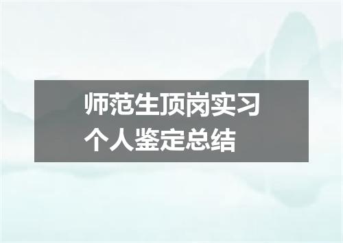 师范生顶岗实习个人鉴定总结