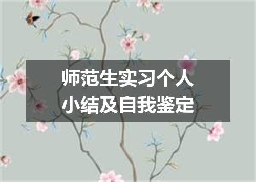 师范生实习个人小结及自我鉴定