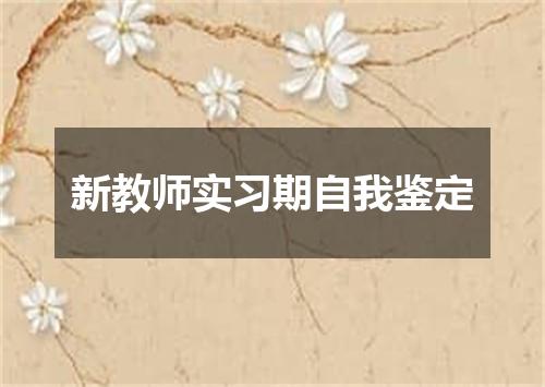 新教师实习期自我鉴定