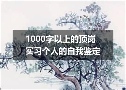 1000字以上的顶岗实习个人的自我鉴定