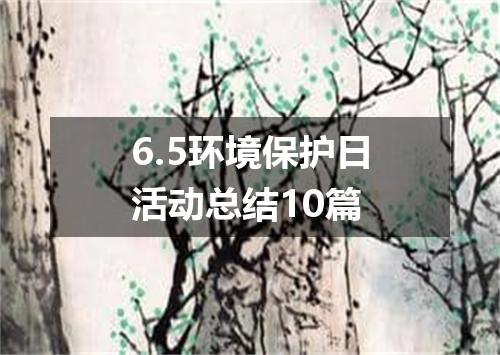 6.5环境保护日活动总结10篇