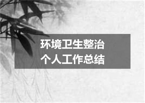 环境卫生整治个人工作总结