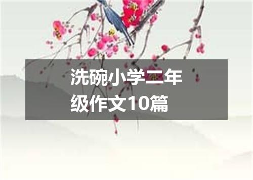 洗碗小学二年级作文10篇