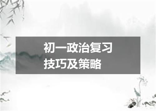 初一政治复习技巧及策略