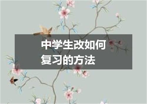 中学生改如何复习的方法