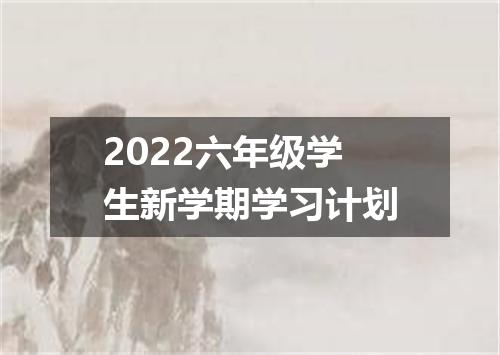 2022六年级学生新学期学习计划