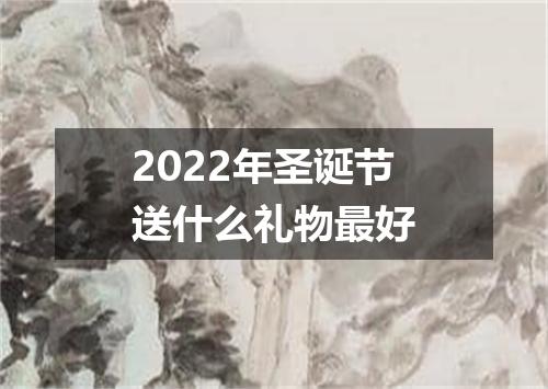 2022年圣诞节送什么礼物最好
