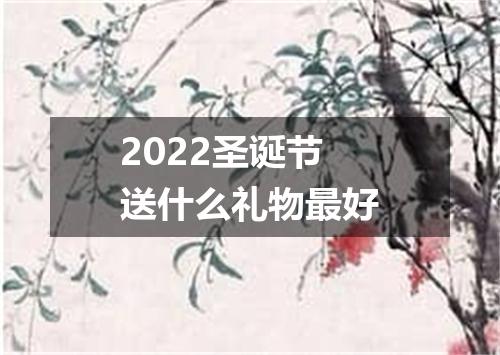 2022圣诞节送什么礼物最好