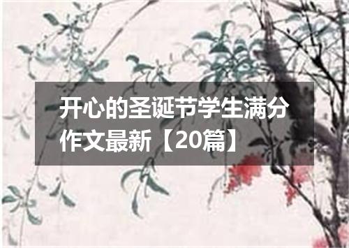 开心的圣诞节学生满分作文最新【20篇】