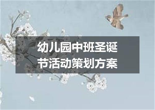 幼儿园中班圣诞节活动策划方案