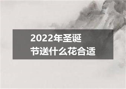 2022年圣诞节送什么花合适