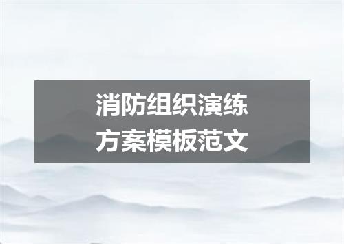 消防组织演练方案模板范文