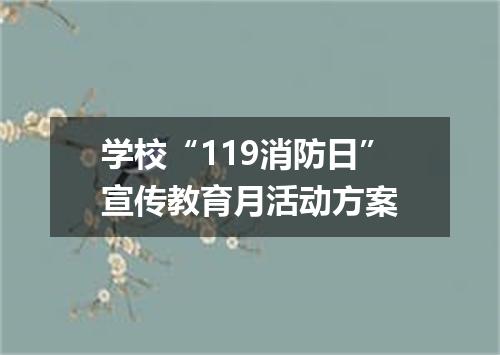 学校“119消防日”宣传教育月活动方案