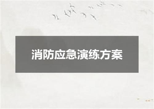 消防应急演练方案