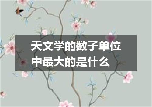 天文学的数子单位中最大的是什么