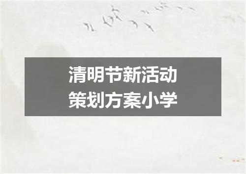 清明节新活动策划方案小学