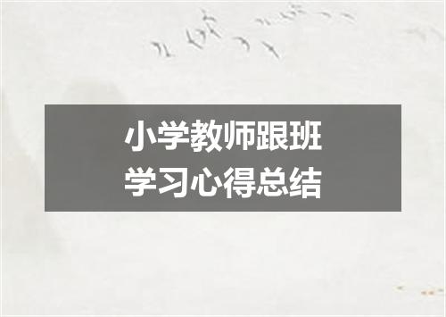 小学教师跟班学习心得总结