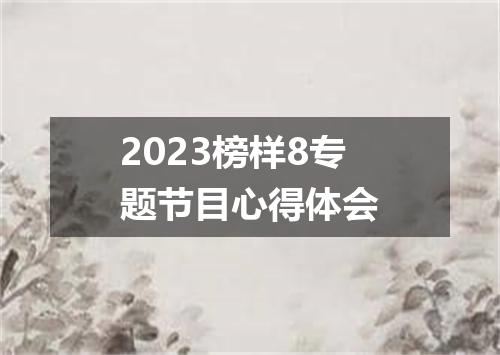 2023榜样8专题节目心得体会