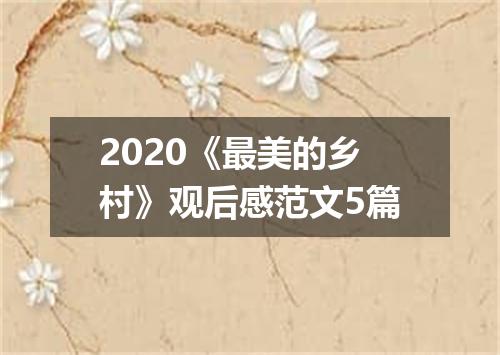2020《最美的乡村》观后感范文5篇