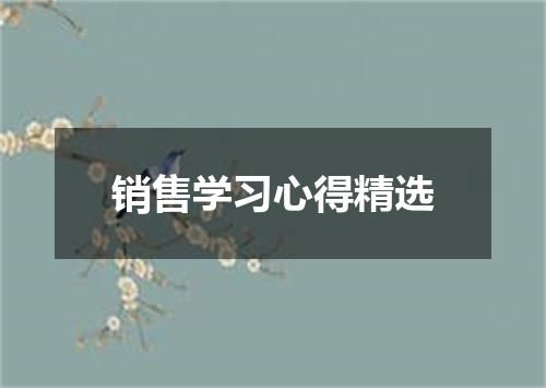 销售学习心得精选