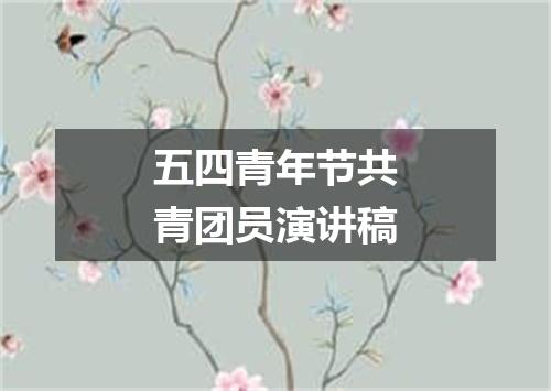 五四青年节共青团员演讲稿