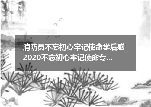 消防员不忘初心牢记使命学后感_2020不忘初心牢记使命专题青年医生学习有感5篇