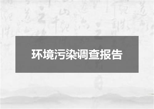 环境污染调查报告