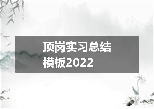顶岗实习总结模板2022