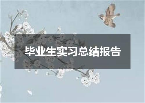 毕业生实习总结报告