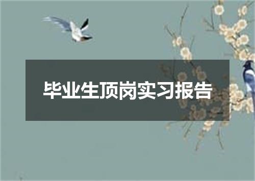 毕业生顶岗实习报告
