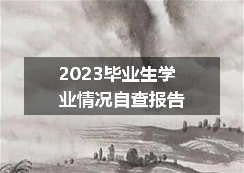 2023毕业生学业情况自查报告