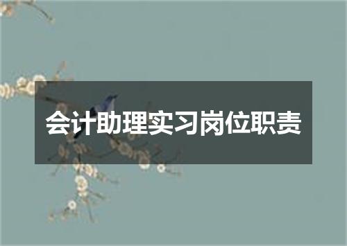 会计助理实习岗位职责