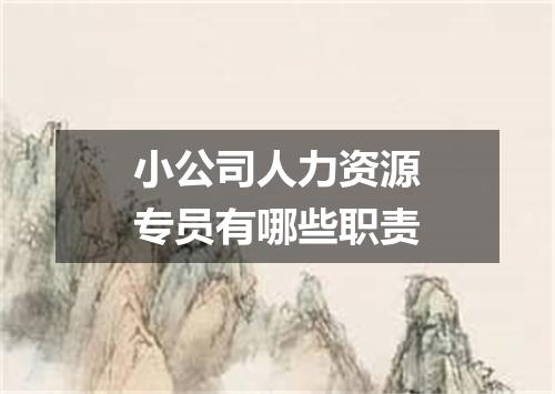 小公司人力资源专员有哪些职责