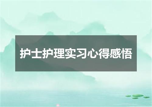 护士护理实习心得感悟