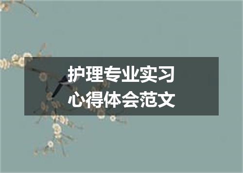 护理专业实习心得体会范文
