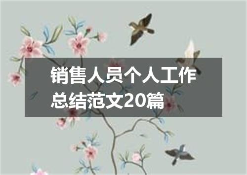 销售人员个人工作总结范文20篇
