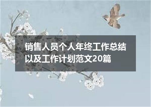 销售人员个人年终工作总结以及工作计划范文20篇