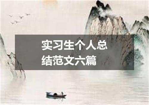 实习生个人总结范文六篇