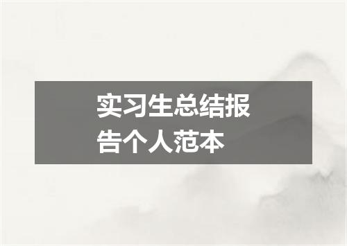实习生总结报告个人范本