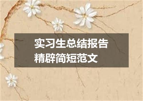 实习生总结报告精辟简短范文