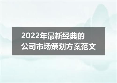 2022年最新经典的公司市场策划方案范文