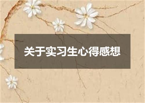 关于实习生心得感想